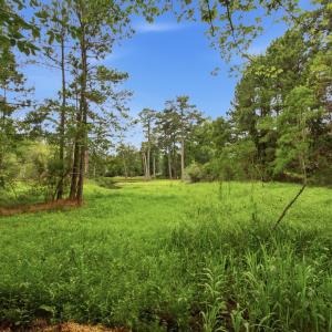 Photo #9 of 2409 Turtle Bay, New Bern, NC 0.6 acres