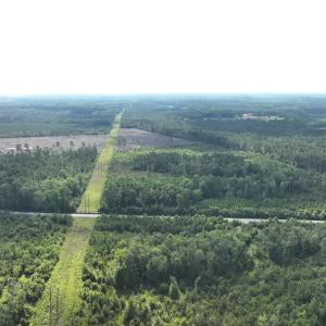 Photo #12 of General Howe, Riegelwood, NC 67.0 acres