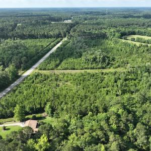 Photo #3 of General Howe, Riegelwood, NC 67.0 acres
