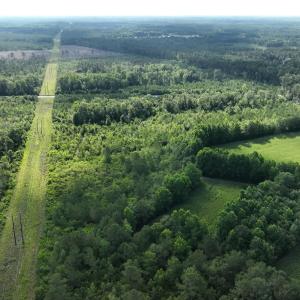 Photo #2 of General Howe, Riegelwood, NC 67.0 acres