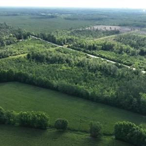 Photo #5 of General Howe, Riegelwood, NC 67.0 acres
