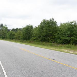 Photo #7 of General Howe, Riegelwood, NC 67.0 acres