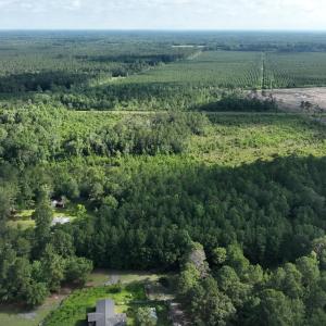 Photo #10 of General Howe, Riegelwood, NC 67.0 acres