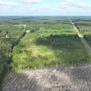 Photo #11 of General Howe, Riegelwood, NC 67.0 acres