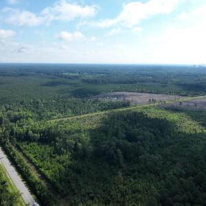 Photo #14 of General Howe, Riegelwood, NC 67.0 acres