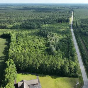 Photo #6 of General Howe, Riegelwood, NC 67.0 acres