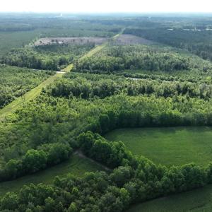 Photo #4 of General Howe, Riegelwood, NC 67.0 acres