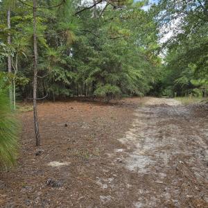 Photo #3 of 317 R J Johnson, Allendale, SC 25.0 acres