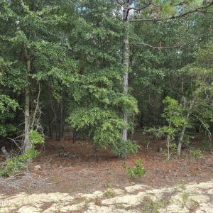 Photo #4 of 317 R J Johnson, Allendale, SC 25.0 acres