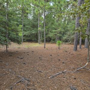 Photo #6 of 317 R J Johnson, Allendale, SC 25.0 acres