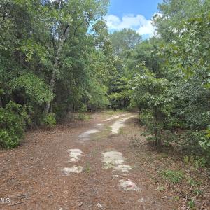 Photo #5 of 317 R J Johnson, Allendale, SC 25.0 acres