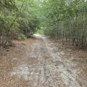 Photo #7 of 317 R J Johnson, Allendale, SC 25.0 acres