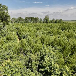 Photo #31 of U.S. 264, Engelhard, NC 500.0 acres