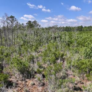 Photo #27 of U.S. 264, Engelhard, NC 500.0 acres