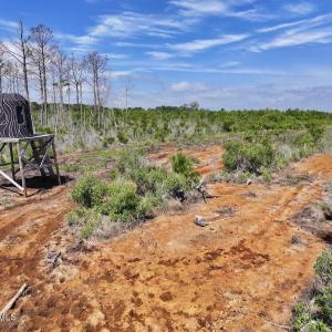 Photo #25 of U.S. 264, Engelhard, NC 500.0 acres