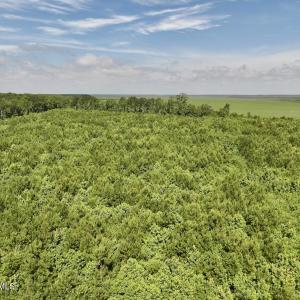 Photo #29 of U.S. 264, Engelhard, NC 500.0 acres