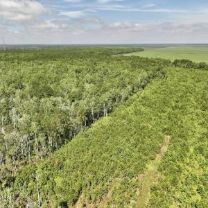 Photo #59 of U.S. 264, Engelhard, NC 500.0 acres