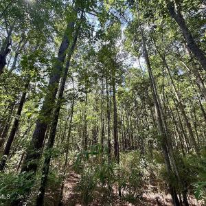 Photo #68 of U.S. 264, Engelhard, NC 500.0 acres