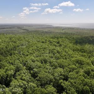 Photo #55 of U.S. 264, Engelhard, NC 500.0 acres