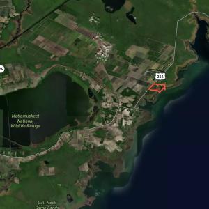Photo #71 of U.S. 264, Engelhard, NC 500.0 acres