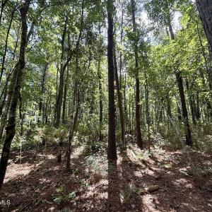 Photo #63 of U.S. 264, Engelhard, NC 500.0 acres