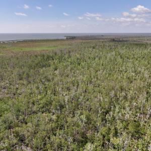 Photo #60 of U.S. 264, Engelhard, NC 500.0 acres