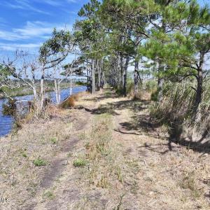 Photo #36 of U.S. 264, Engelhard, NC 500.0 acres