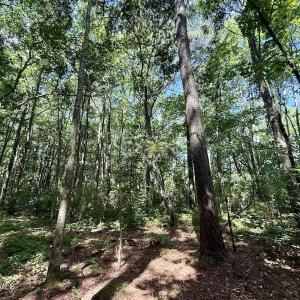 Photo #62 of U.S. 264, Engelhard, NC 500.0 acres
