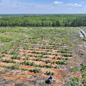 Photo #24 of U.S. 264, Engelhard, NC 500.0 acres