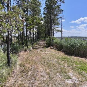 Photo #48 of U.S. 264, Engelhard, NC 500.0 acres