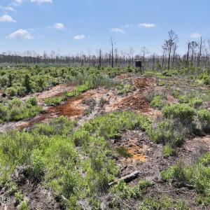 Photo #26 of U.S. 264, Engelhard, NC 500.0 acres