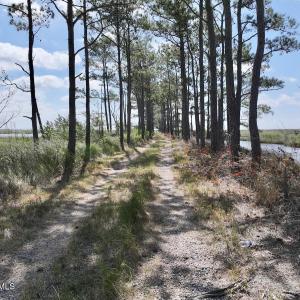 Photo #49 of U.S. 264, Engelhard, NC 500.0 acres