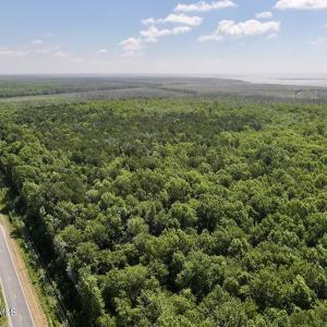 Photo #54 of U.S. 264, Engelhard, NC 500.0 acres