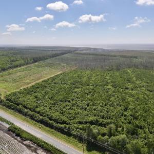 Photo #1 of U.S. 264, Engelhard, NC 500.0 acres