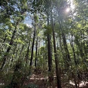 Photo #66 of U.S. 264, Engelhard, NC 500.0 acres