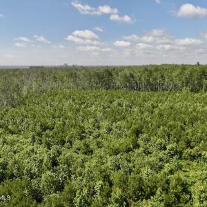 Photo #28 of U.S. 264, Engelhard, NC 500.0 acres