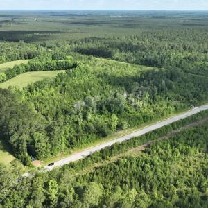 Photo #10 of General Howe, Riegelwood, NC 47.0 acres