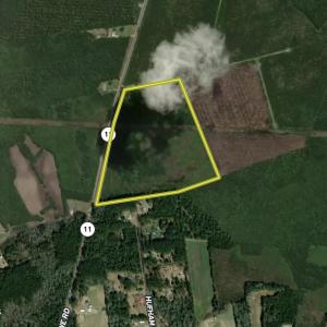 Photo #1 of General Howe, Riegelwood, NC 47.0 acres