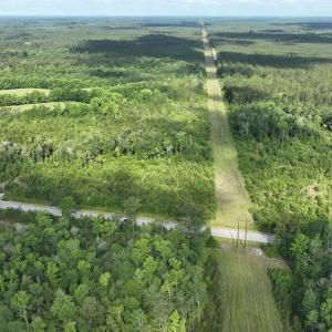 Photo #11 of General Howe, Riegelwood, NC 47.0 acres