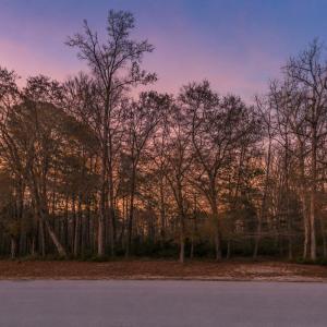 Photo #4 of 3382 Eagle Crest, Supply, NC 1.5 acres