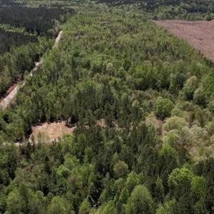 Photo #8 of 3 Beamon Hunt, Warrenton, NC 16.0 acres