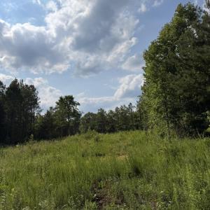 Photo #5 of 3 Beamon Hunt, Warrenton, NC 16.0 acres