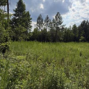 Photo #4 of 3 Beamon Hunt, Warrenton, NC 16.0 acres