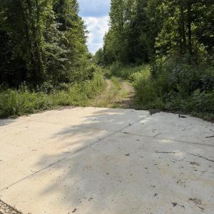 Photo #1 of 3 Beamon Hunt, Warrenton, NC 16.0 acres