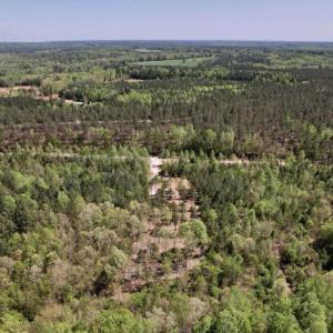 Photo #7 of 3 Beamon Hunt, Warrenton, NC 16.0 acres