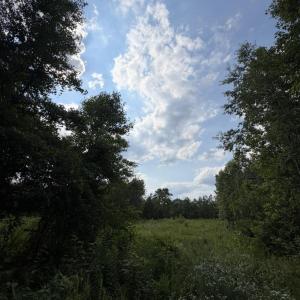Photo #3 of 3 Beamon Hunt, Warrenton, NC 16.0 acres