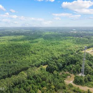 Photo #11 of Todd, Shallotte, NC 108.5 acres