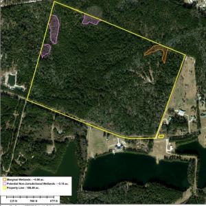 Photo #22 of Todd, Shallotte, NC 108.5 acres