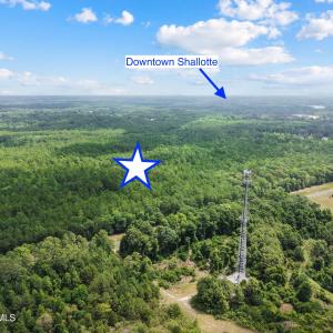 Photo #10 of Todd, Shallotte, NC 108.5 acres