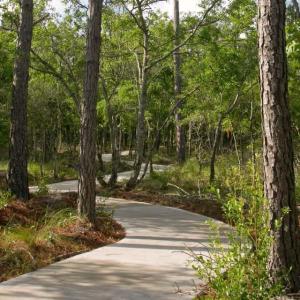Photo #15 of 3518 Bocage, Supply, NC 0.7 acres